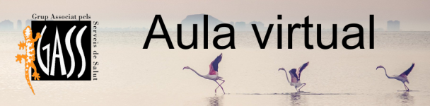 Logo of Aula virtual de GASS